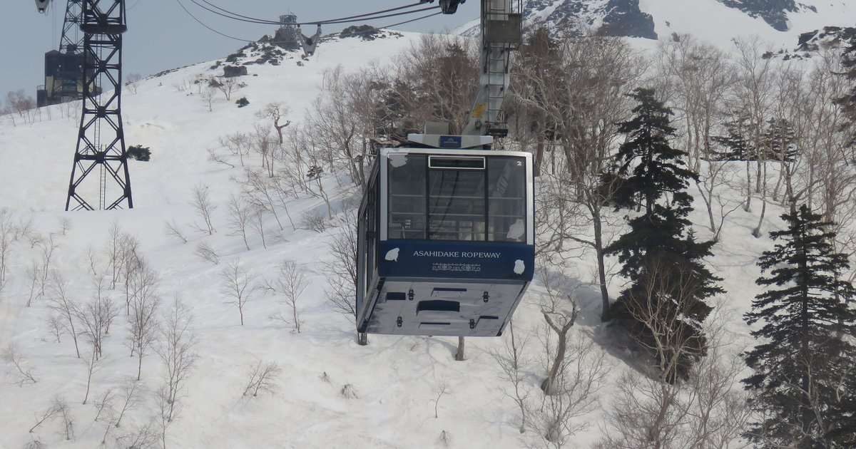 深藍色的旭岳纜車車廂掛在鋼索上,車身印著 ASAHIDAKE ROPEWAY 與白色小動物圖案,下方與四周是積雪的山坡和落葉的岳樺林,左邊一座鐵塔