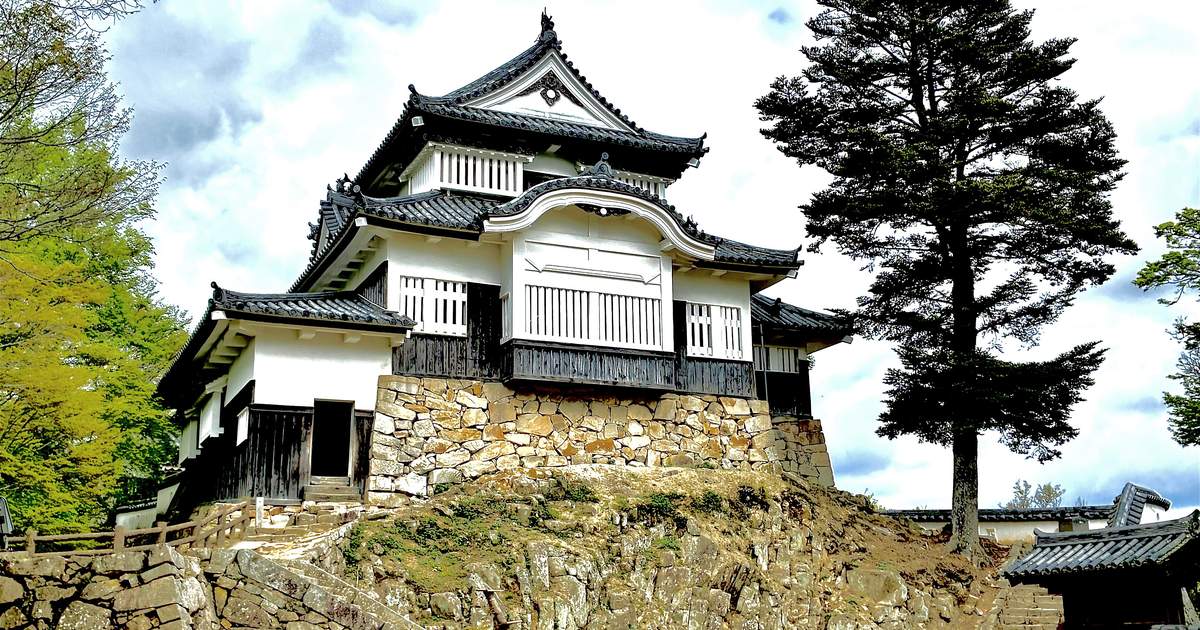 晴天多雲下的備中松山城天守:白牆黑瓦、正面有弧形唐破風屋簷的兩層木造建築,坐在一段石垣上,石垣下面是長著草的裸露岩盤,右邊一棵高大的松樹,左邊是新綠的樹