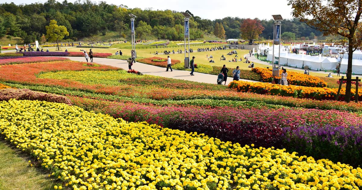 Banded flower beds at Expo 2005 Aichi Commemorative Park, with yellow marigolds and deep-red foliage in the foreground, people walking a path and sitting on the lawn behind them, white event marquees to the right and wooded hills beyond