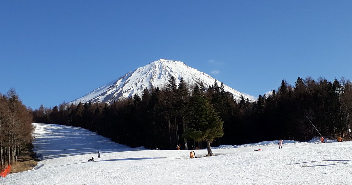 藍天下積雪的富士山,山腳一整排深色針葉林,前景是寬闊平緩的白色雪坡,左邊一條雪道沿著樹林往上延伸,雪坡上零星幾個小小的滑雪者;2017 年 3 月攝於富士天滑雪場