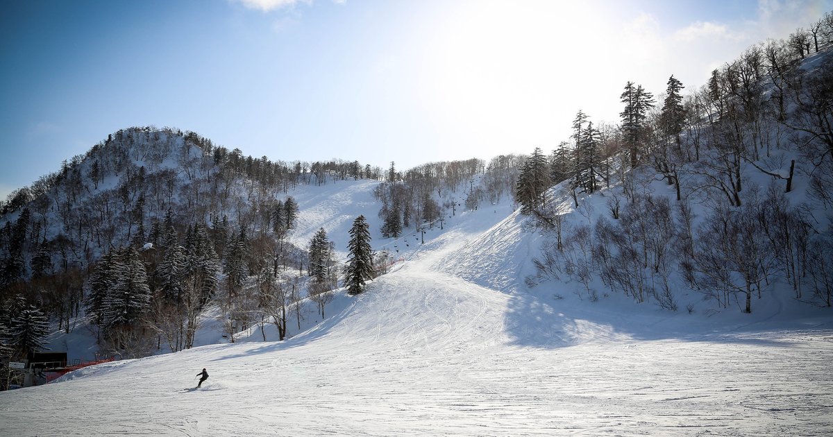 晴天逆光下的富良野滑雪場雪道:壓過雪的寬闊緩坡往上延伸進兩座覆雪小山之間,遠處看得到一排吊椅支柱,左下方有一位滑雪者,兩側是掛著雪的針葉樹與落葉樹