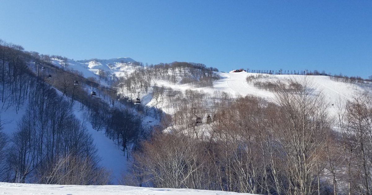 晴天藍天下的夏油高原滑雪場:左側山坡有兩列纜車車廂沿著纜線往上,中間與右側是夾在落葉樹林之間的白色雪道,山頂有一棟紅色小屋與一排防風網