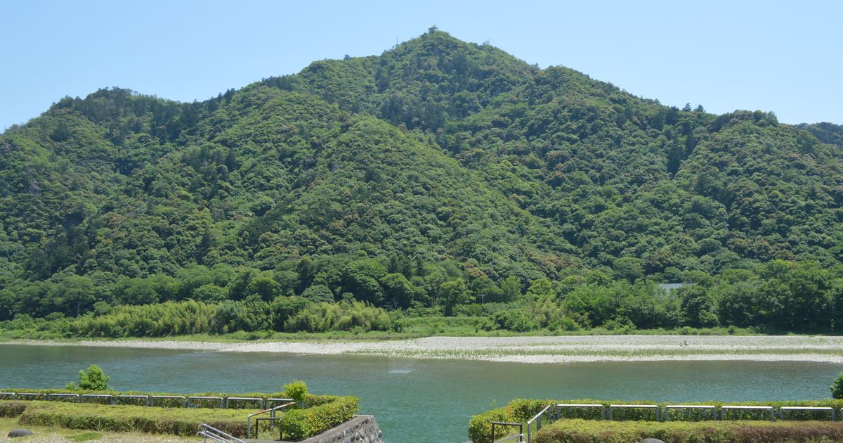 從長良川北岸望向金華山：整座山覆滿綠色樹林，山頂只露出一個很小的白點，前景是青綠色的長良川、河中的礫石灘與岸邊的矮樹籬