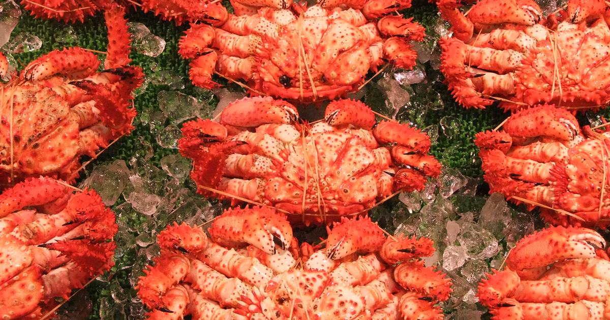 Rows of boiled hanasaki crab on ice at a Hokkaido seafood market, shells vivid scarlet and covered in short spines