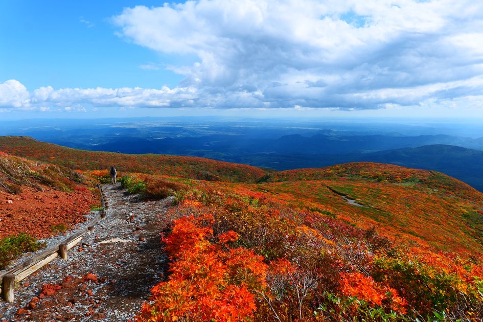 日本紅葉指南：從北海道大雪山到九州耶馬溪的秋色全景