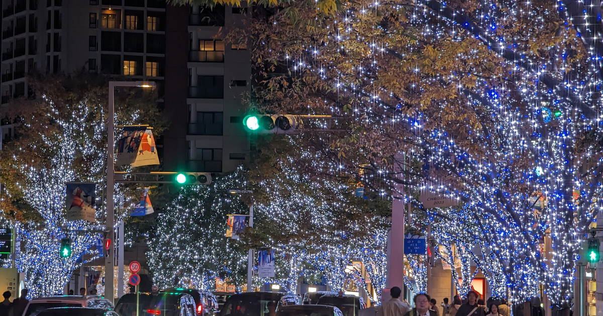 Keyakizaka-dori in Roppongi at night, its zelkova trees wrapped in blue and white LEDs with autumn leaves still on the branches, Christmas banners hanging from the lamp posts, traffic queuing and pedestrians in winter coats