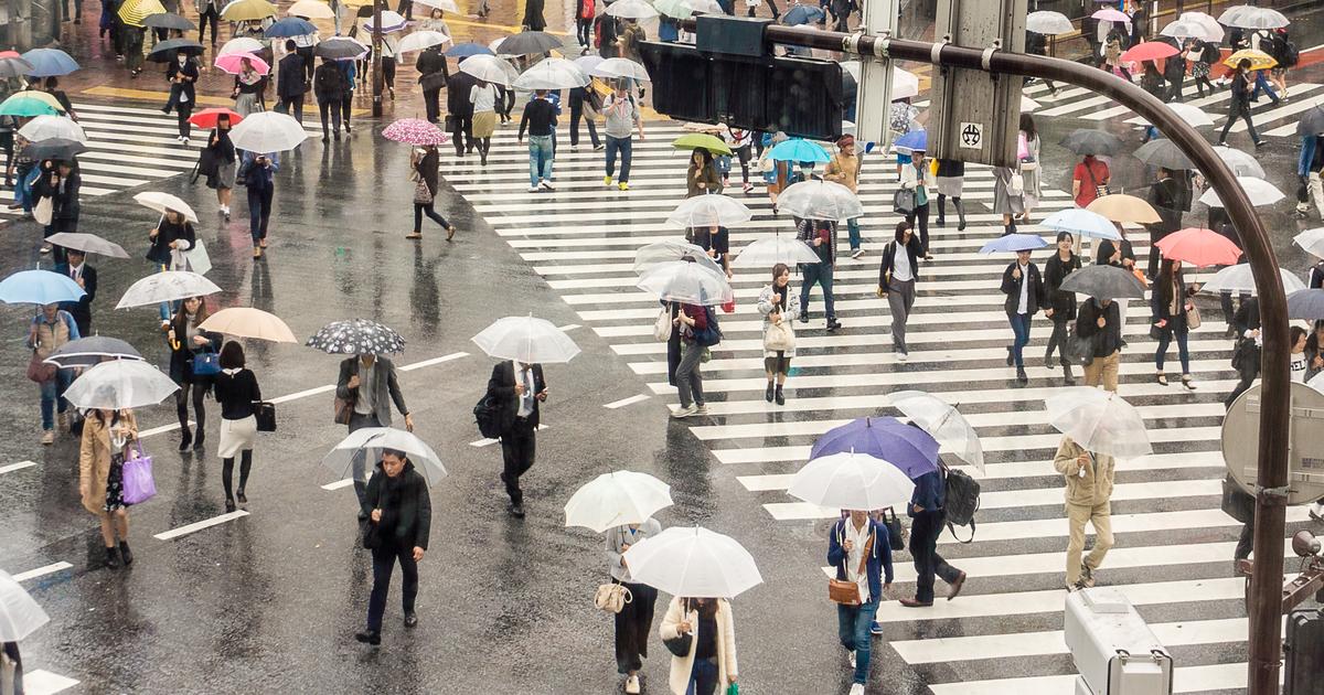 從高處俯看雨天的東京澀谷十字路口:整片斑馬線上密密麻麻都是撐傘的行人,多半是透明塑膠傘,路面濕亮反光