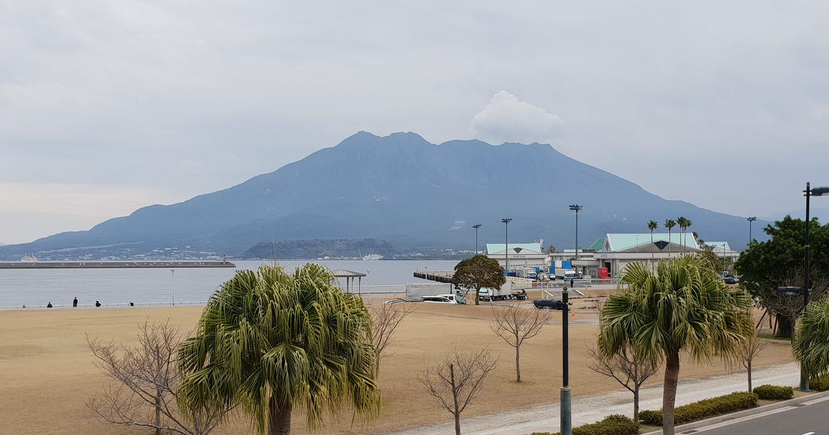 鹿兒島港本港區的海濱公園,冬天枯黃的草地與棕櫚樹後方,錦江灣對岸是整座櫻島