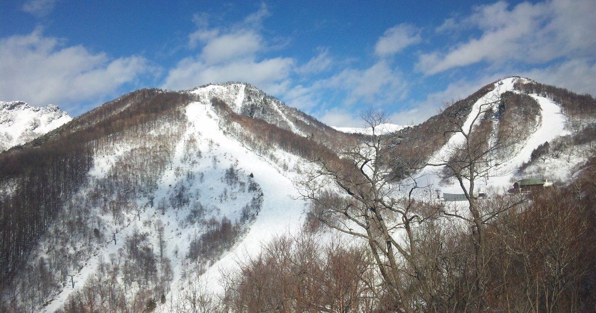 川場滑雪場往桜川、クリスタル方向看:兩座山頭被白色壓雪滑道從上到下切開,滑道旁立著纜車支柱,右側山腰有綠屋頂的建物,前景是落葉的樹林
