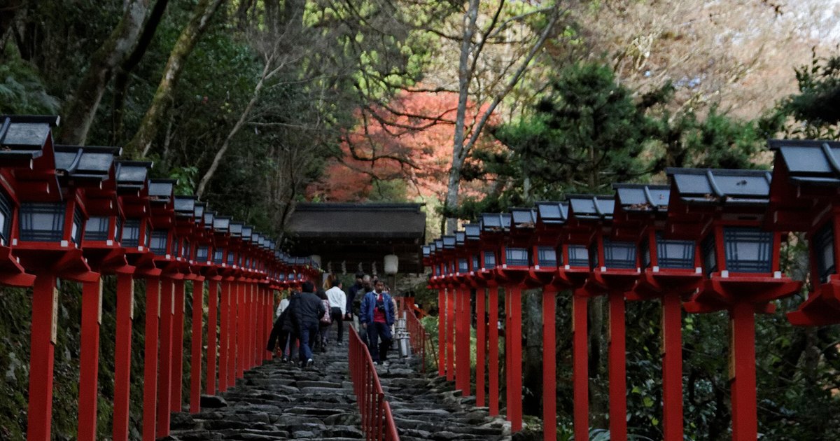 貴船神社本宮表參道白天的樣子：石階兩側各一排紅色春日燈籠，階頂是木造的門，門後一棵轉紅的樹，幾位參拜者在石階上