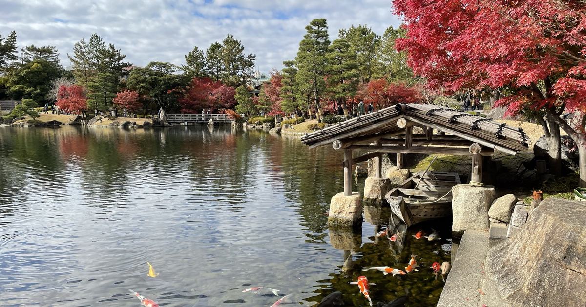 Red maples and koi at Ryusenko pond in Tokugawaen, Nagoya, with autumn colour reflected in the water