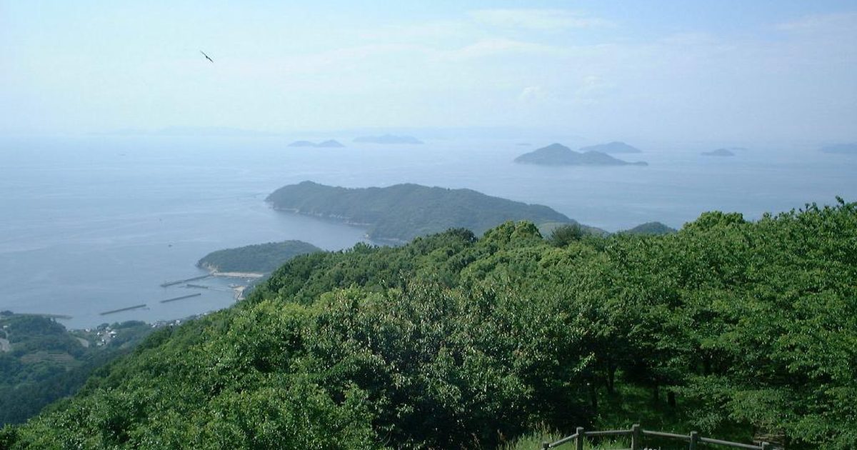 從紫雲出山山頂往西北看瀨戶內海：前景是長滿綠葉的櫻花樹林，山腳海邊有一段防波堤，海上浮著一座長形的綠色島嶼與幾座小島，遠方海天一片淡藍