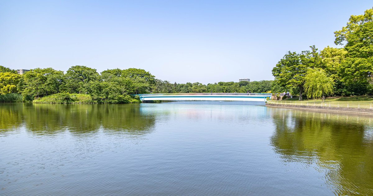 晴天白天的大阪市立長居植物園大池:平靜的水面倒映兩岸綠樹,正中央一座淺藍色的長橋(一文字橋)橫跨池面,右岸是有欄杆的步道與垂柳