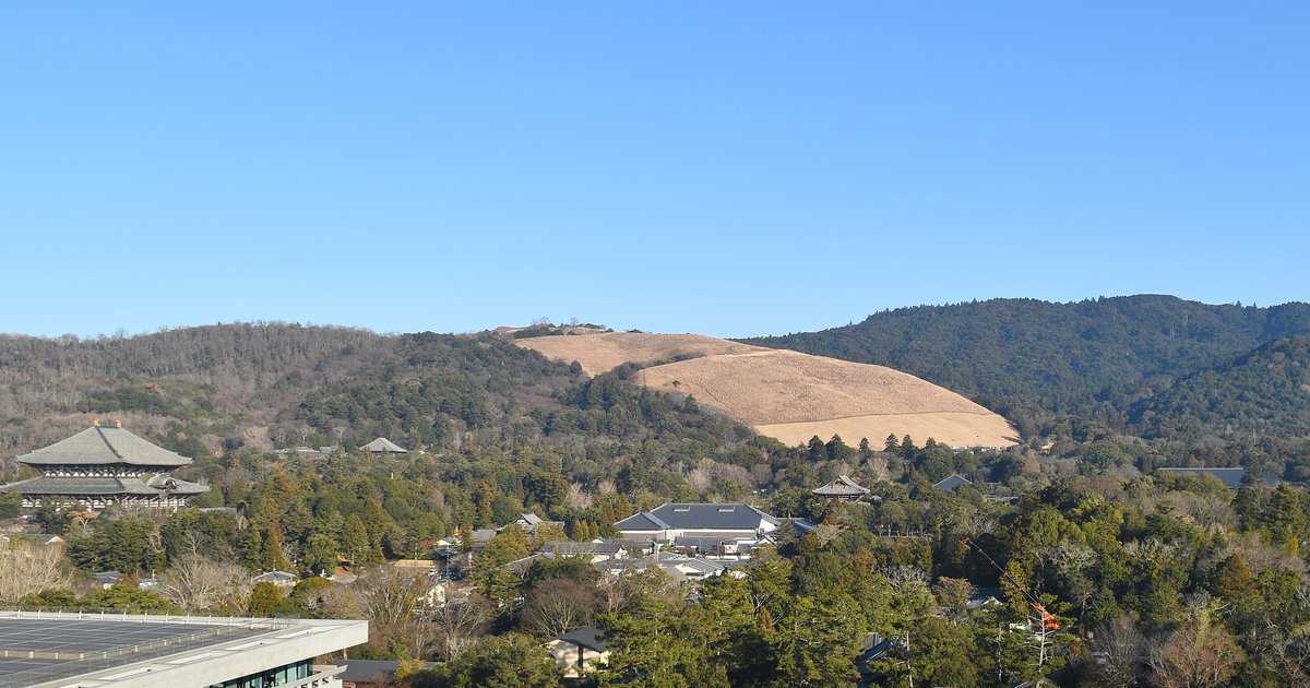 晴天下從遠處眺望若草山：中央整片山坡是枯黃的冬季草地、稜線光禿沒有樹，左側樹叢間露出東大寺大佛殿的大屋頂，中景是奈良公園一帶的白牆建築