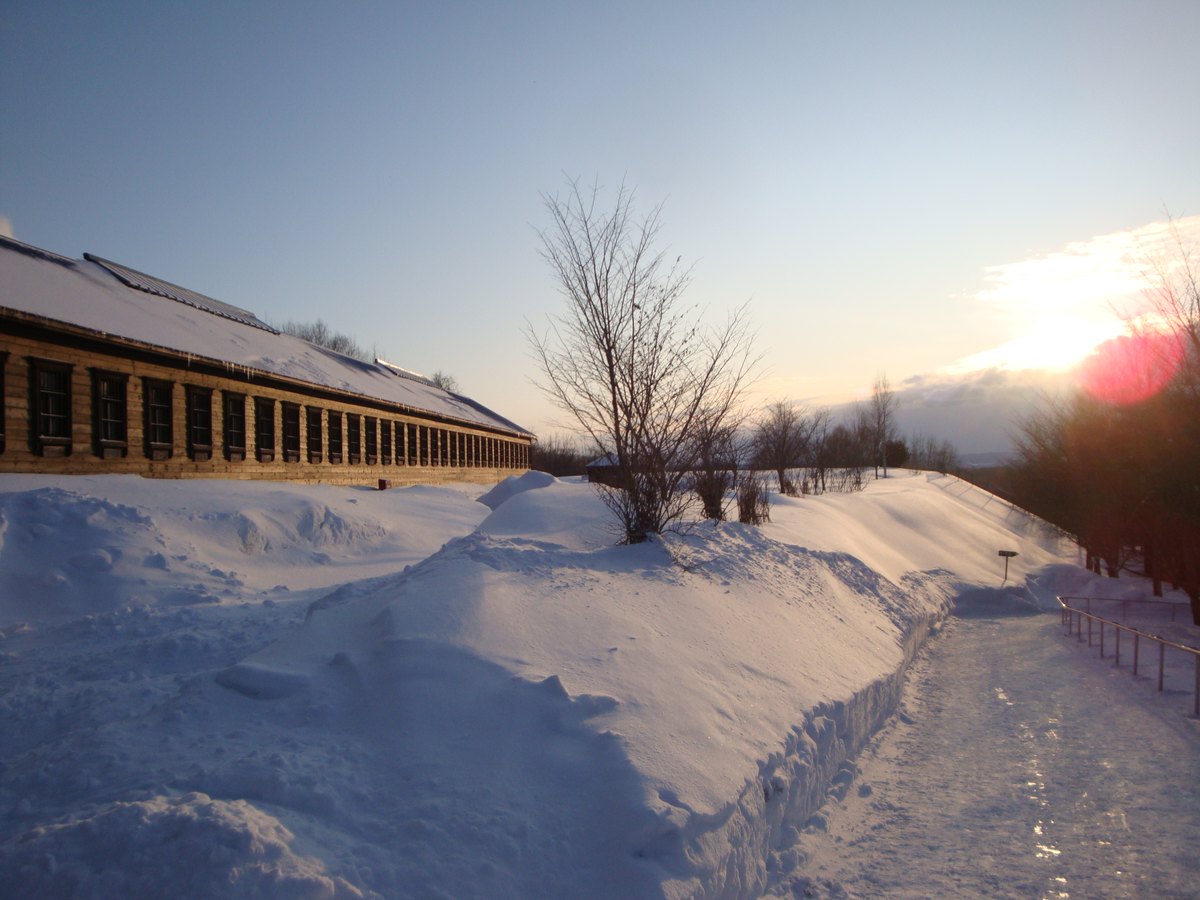 傍晚逆光下的雪地:左邊是一長排屋頂積雪的木造建築,右邊剷出來的步道兩側雪堆得比步道高出一截