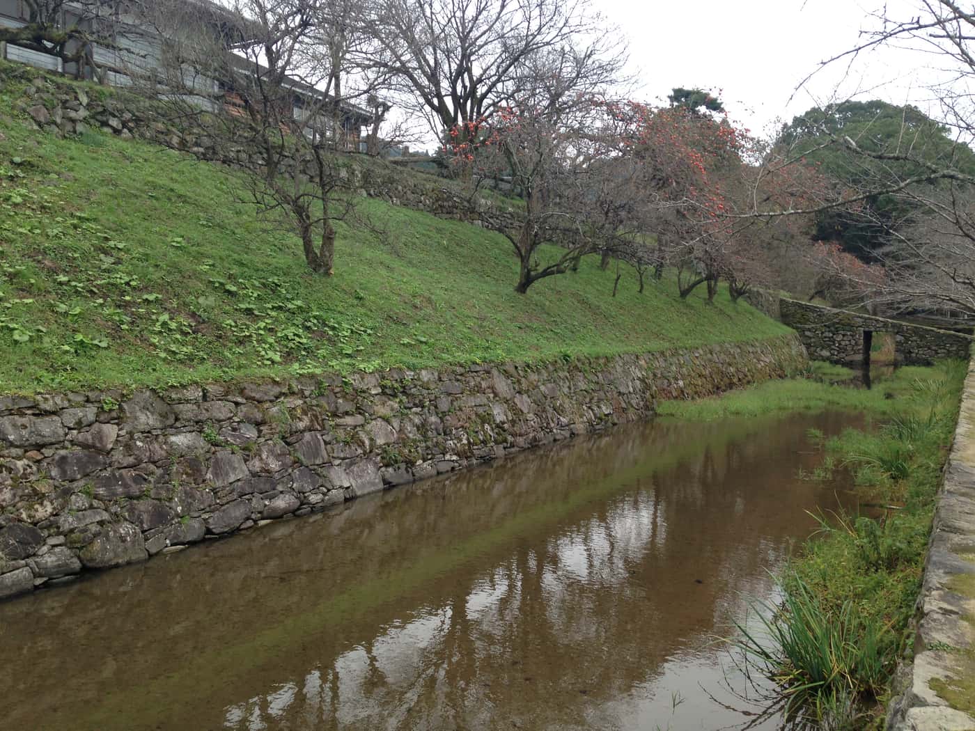 Water moat and stone walls near the Kawarazaka ramp at Akizuki Castle ruins, with persimmon trees on the bank