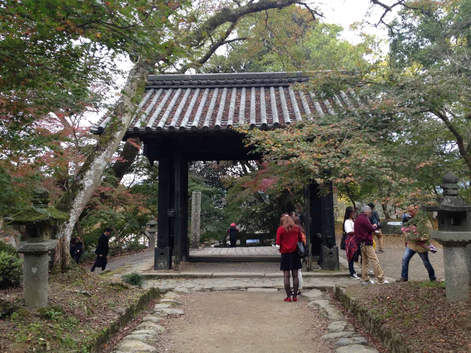 The shrine gate of Suiyo Shrine, the relocated Kuromon, surrounded by forest