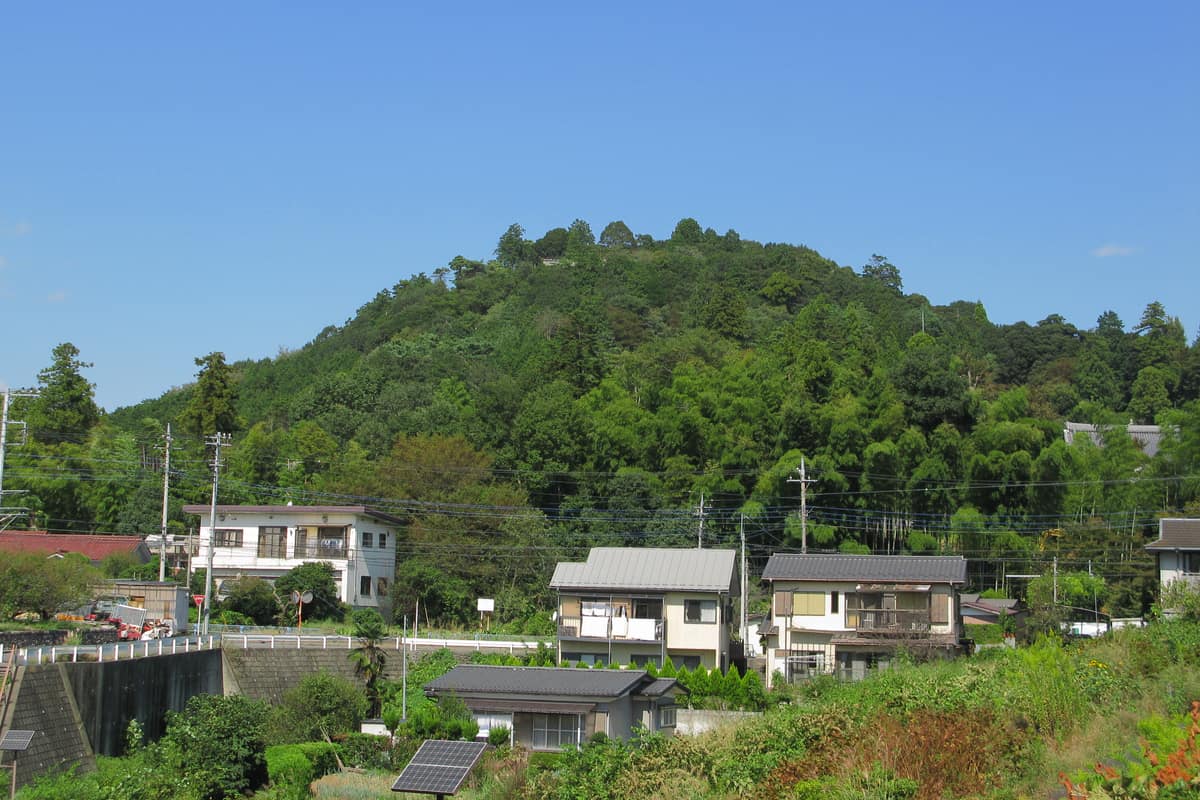 飯能市實景照（京浜にけ / CC BY-SA 3.0 / Wikimedia Commons）