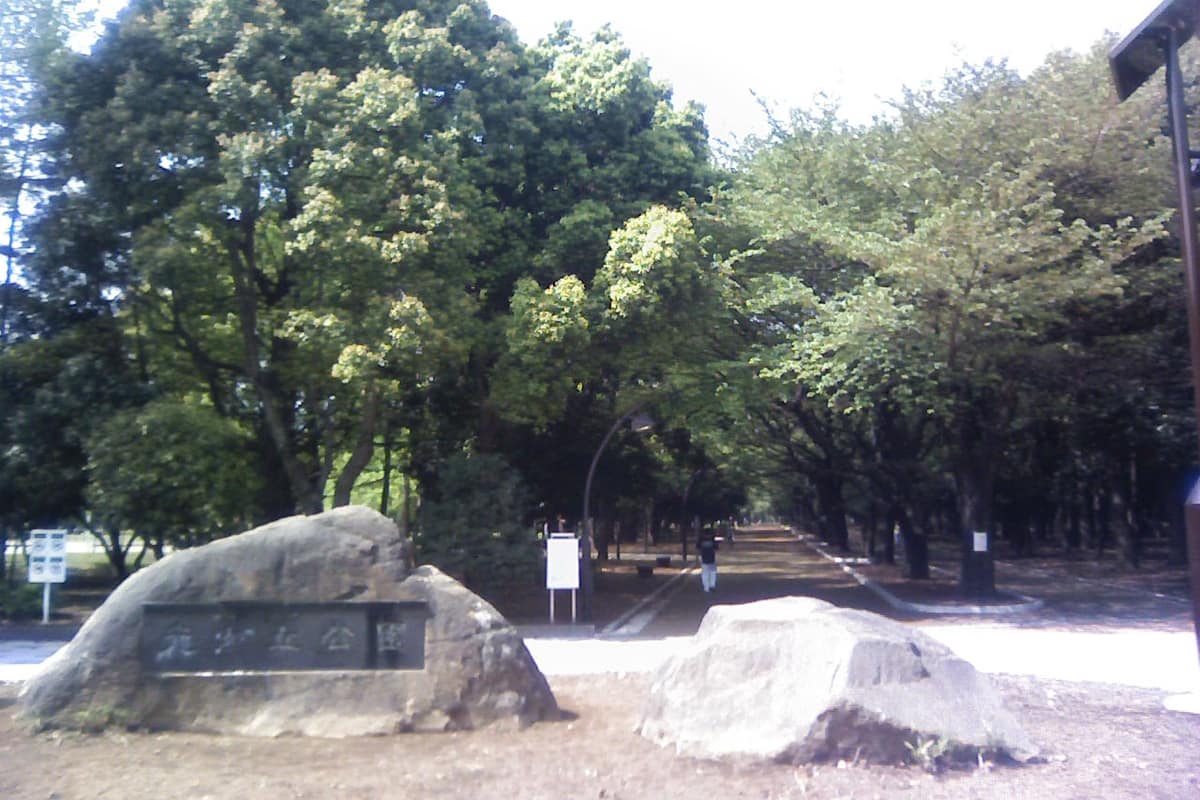 練馬區 光丘實景照（星組背番号10 / CC BY-SA 3.0 / Wikimedia Commons）