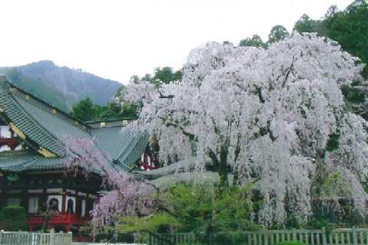 身延町實景照（Wikimedia contributors / CC BY-SA 3.0 / Wikimedia Commons）