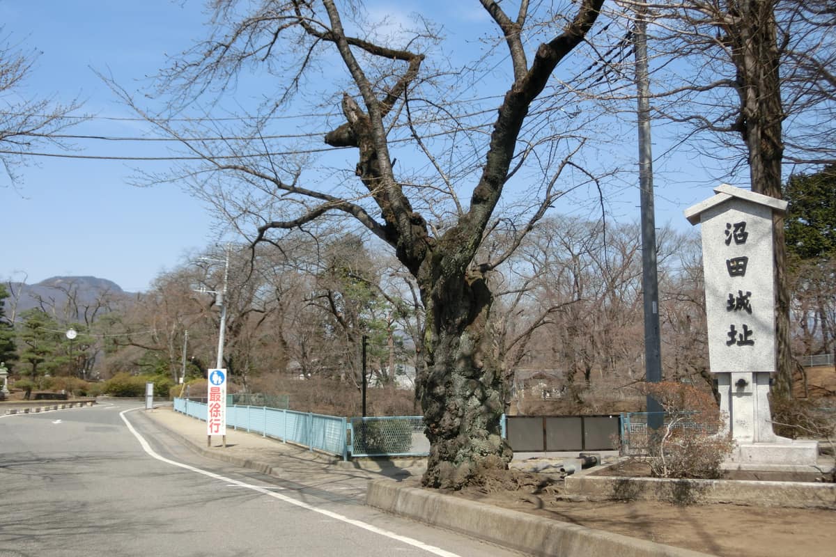 沼田市實景照(Abasaa / Public Domain / Wikimedia Commons)