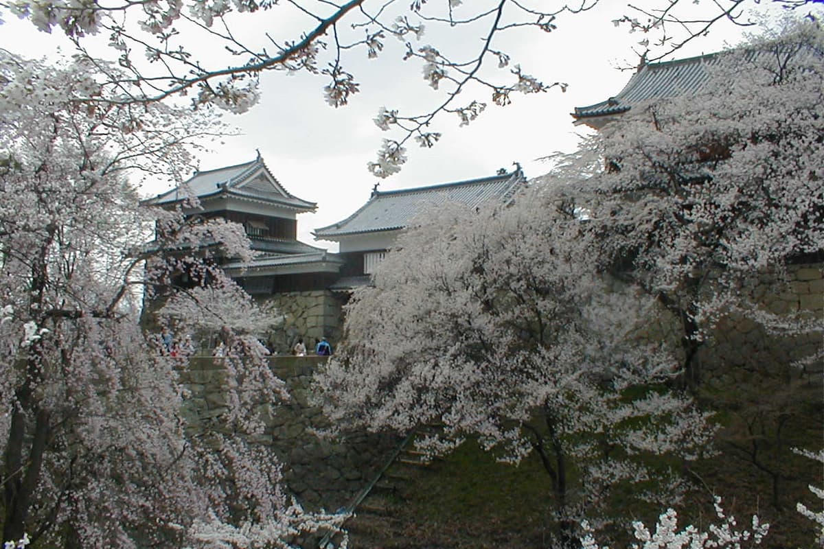 上田城實景照(Tomorobi / CC BY-SA 3.0 / Wikimedia Commons)