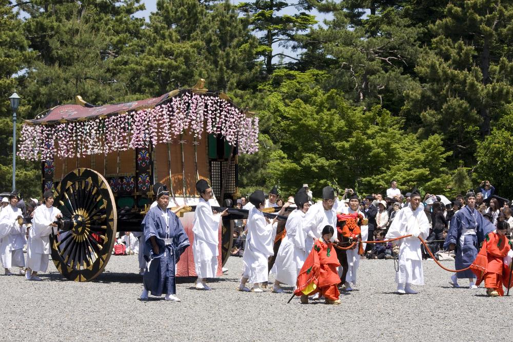 京都御苑碎石路上的葵祭牛車:車篷前垂著整排粉白色藤花,黑漆大車輪鑲金色飾件,白衣隨從扶著車轅、拉著橘色牛繩,一位穿紅衣的孩童走在牛旁邊,背後松林下坐滿觀眾