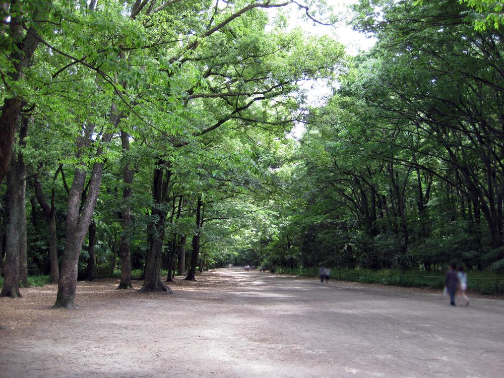 下鴨神社糺の森裡的馬場:一條又寬又直的土路往遠方延伸,兩側是高大的闊葉樹、枝葉在頭上幾乎合起來,路右側有矮柵欄,遠處有幾個散步的人