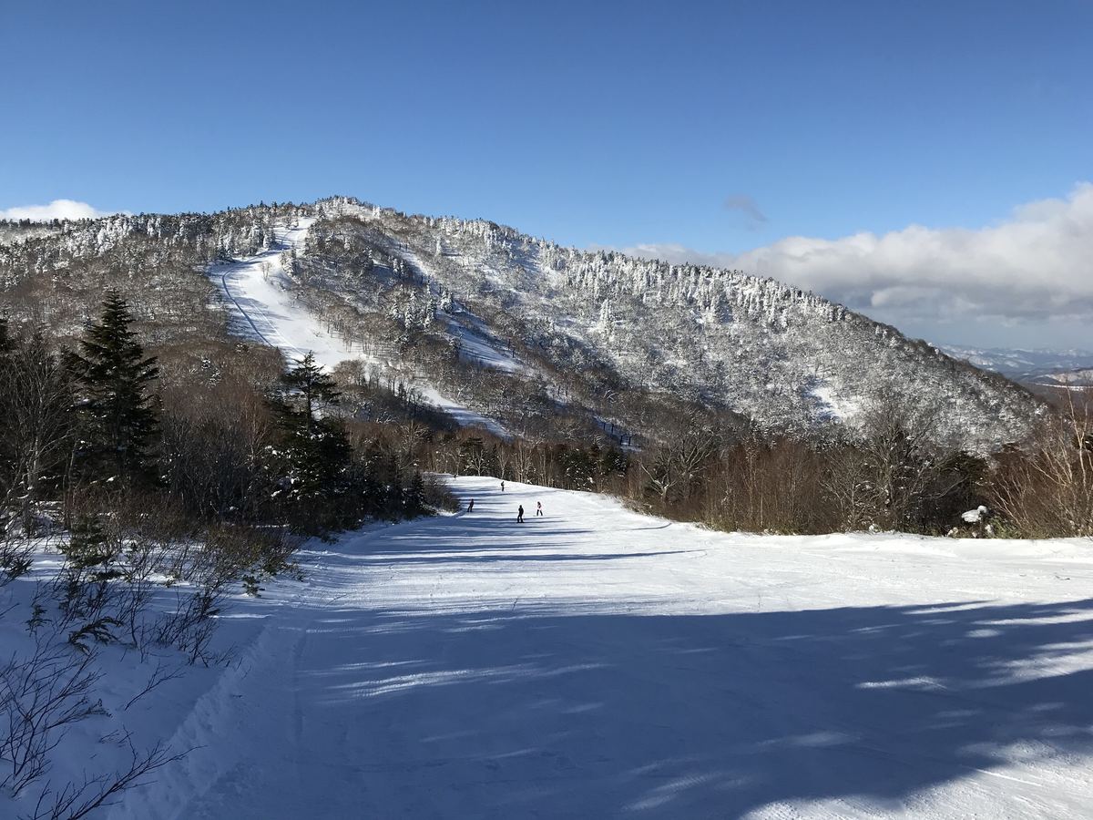 晴天下的ヤマバトコース,寬雪道兩側是低矮灌木與針葉樹,遠處三位滑雪者;後方是樹木掛滿霧凇的西森山,山腰有一條白色雪道