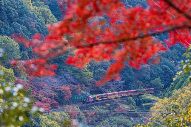 The Hozu River gorge framed by trees and water seen from the window of the Sagano Scenic Railway