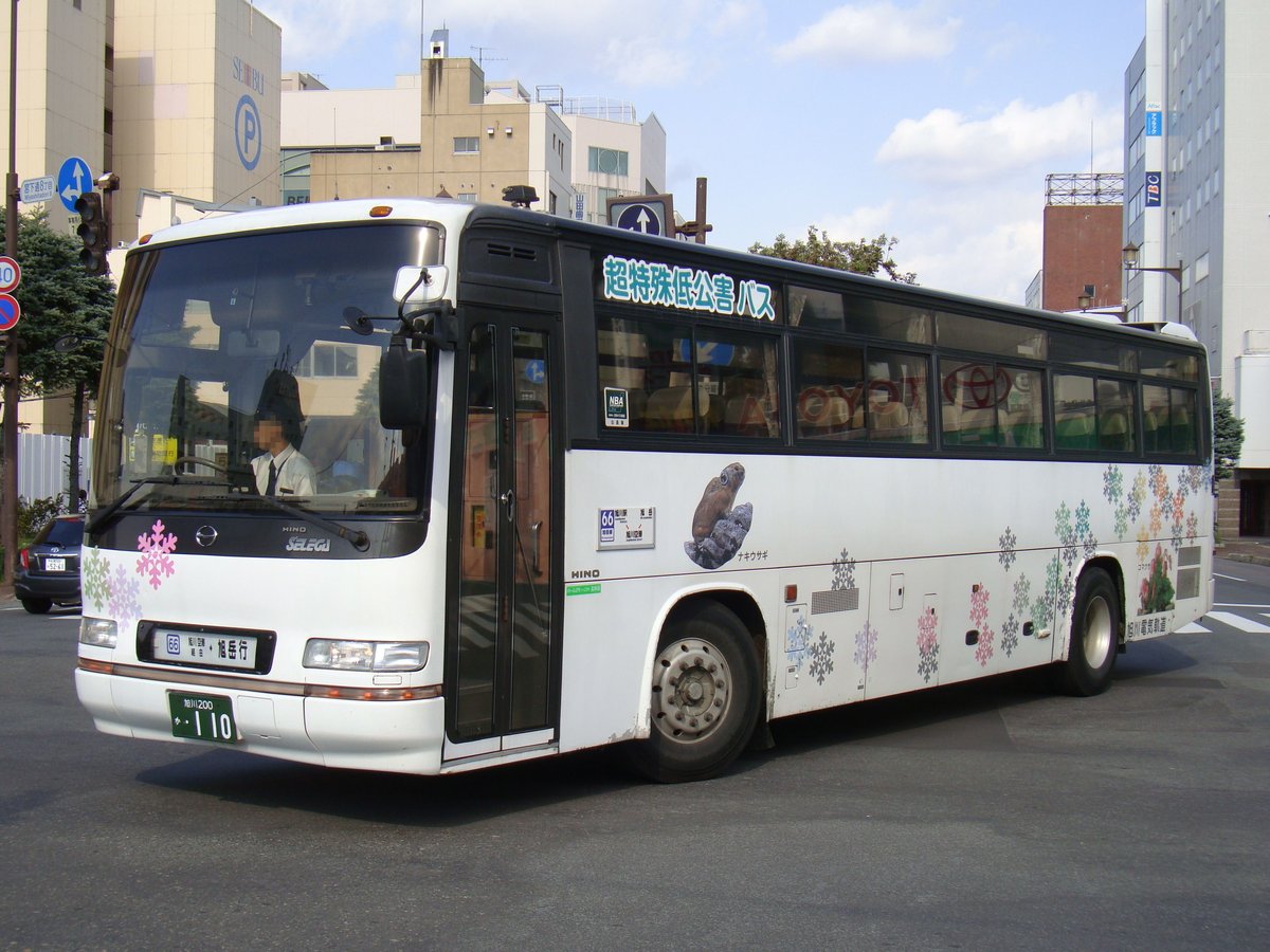 白色車身、畫著彩色雪花圖案的旭川電氣軌道巴士行駛在旭川市區路口,車門旁的路線牌寫著「66 旭岳線」與旭川駅、旭岳、旭川空港