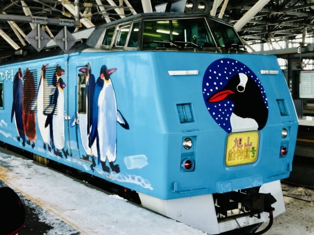 旭山動物園企鵝散步：國王企鵝列隊行走在雪地上