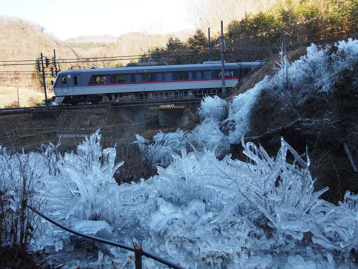 2017 年 1 月蘆久保冰柱會場:前景是結成一叢叢的透明冰,後方高架的西武秩父線上有一列灰色車身、紅色腰線的特急列車通過,背景是冬天的山