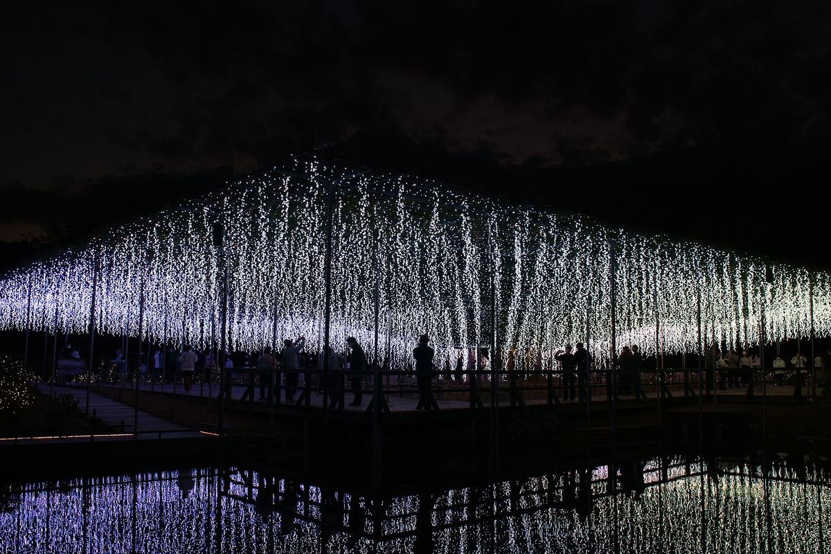 The illuminated trellis mirrored in a still pond in the foreground, visitors silhouetted on the walkway beneath, night sky above
