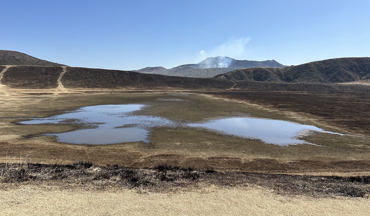 燒過之後的草千里ヶ浜：前景路邊一排燒焦的草根，中間是兩個淺水窪與還帶點枯黃的濕地，後方山坡整片深褐色、有幾道步道痕跡，正中遠處的中岳冒著白煙