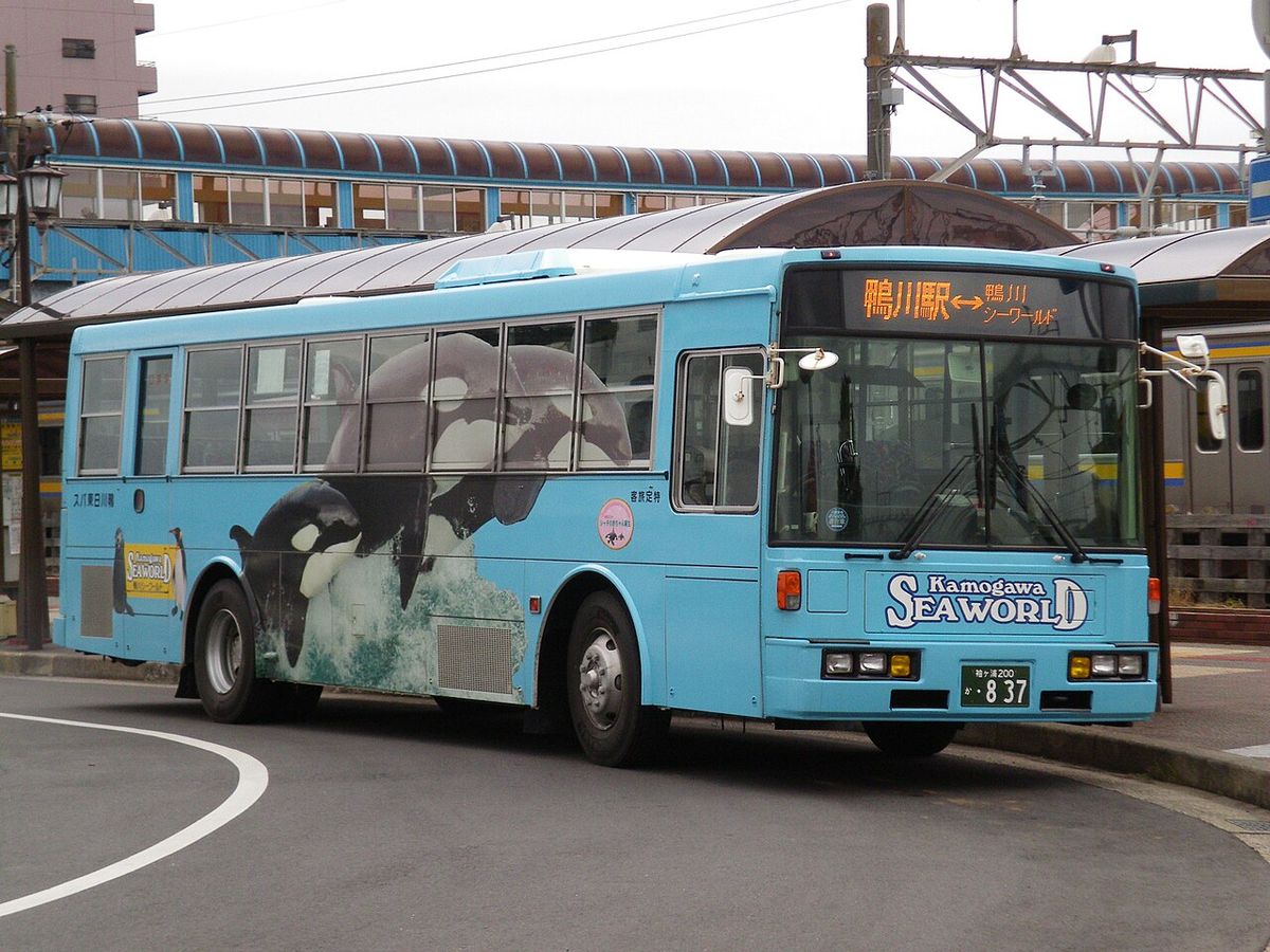 安房鴨川站西口的巴士轉運圈,一台淺藍色、車身畫著虎鯨並印有 Kamogawa SEAWORLD 字樣的路線巴士停在雨棚旁,車頭方向幕顯示「鴨川駅⇔鴨川シーワールド」,後方是車站的跨線天橋與停著的電車