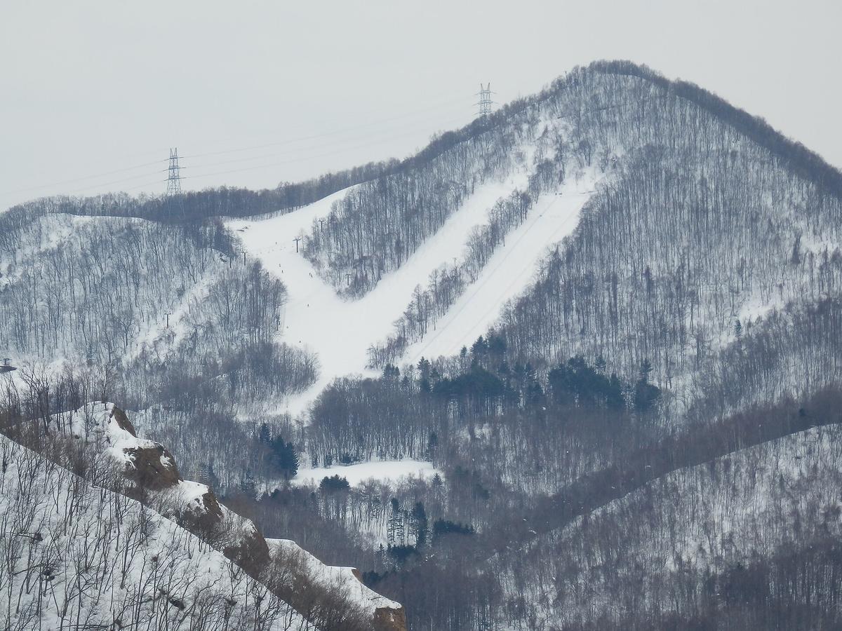 陰天從遠處望向盤溪滑雪場:一座長滿落葉樹的雪山上,兩條白色雪道呈 V 字從山頂附近往下匯合,左側還有一片較寬的雪坡,山脊上立著兩座輸電鐵塔