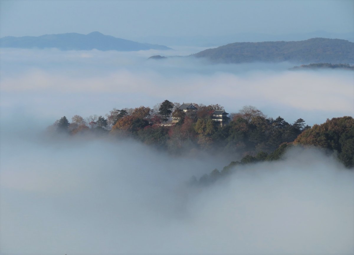 一片白色雲海中浮出一座長滿紅褐與深綠樹木的山頭,山頂樹林間露出兩棟黑瓦白牆的城郭建築,遠方是幾座只露出山脊的山,天空淡藍