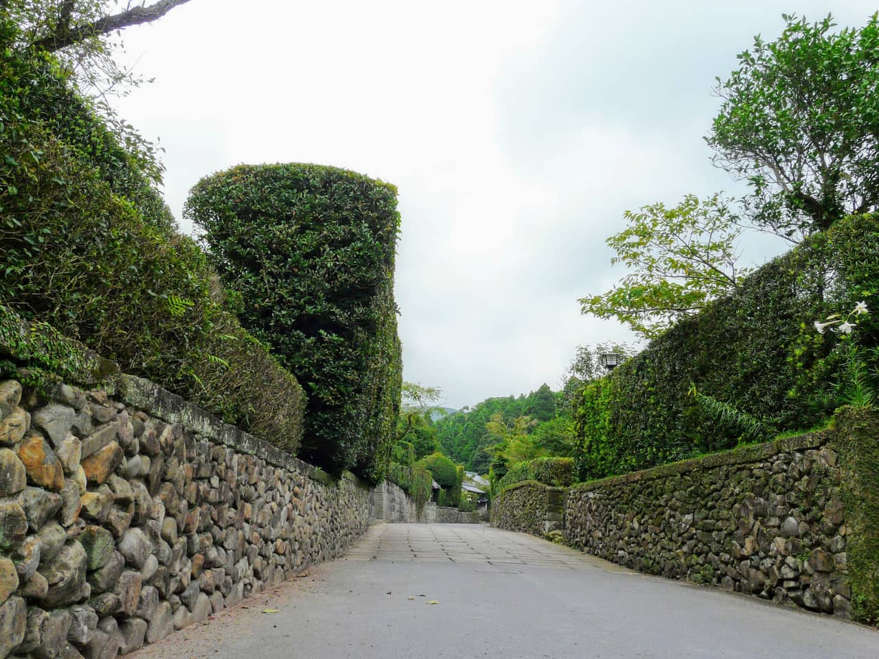 The stone-walled, hedge-lined street of the Chiran samurai gardens, called the Little Kyoto of Satsuma