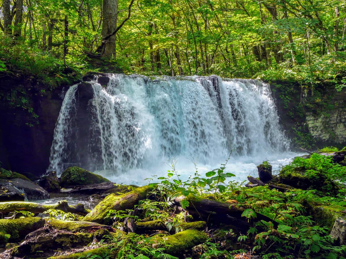 Choshi Otaki waterfall on the Oirase Stream amid green forest