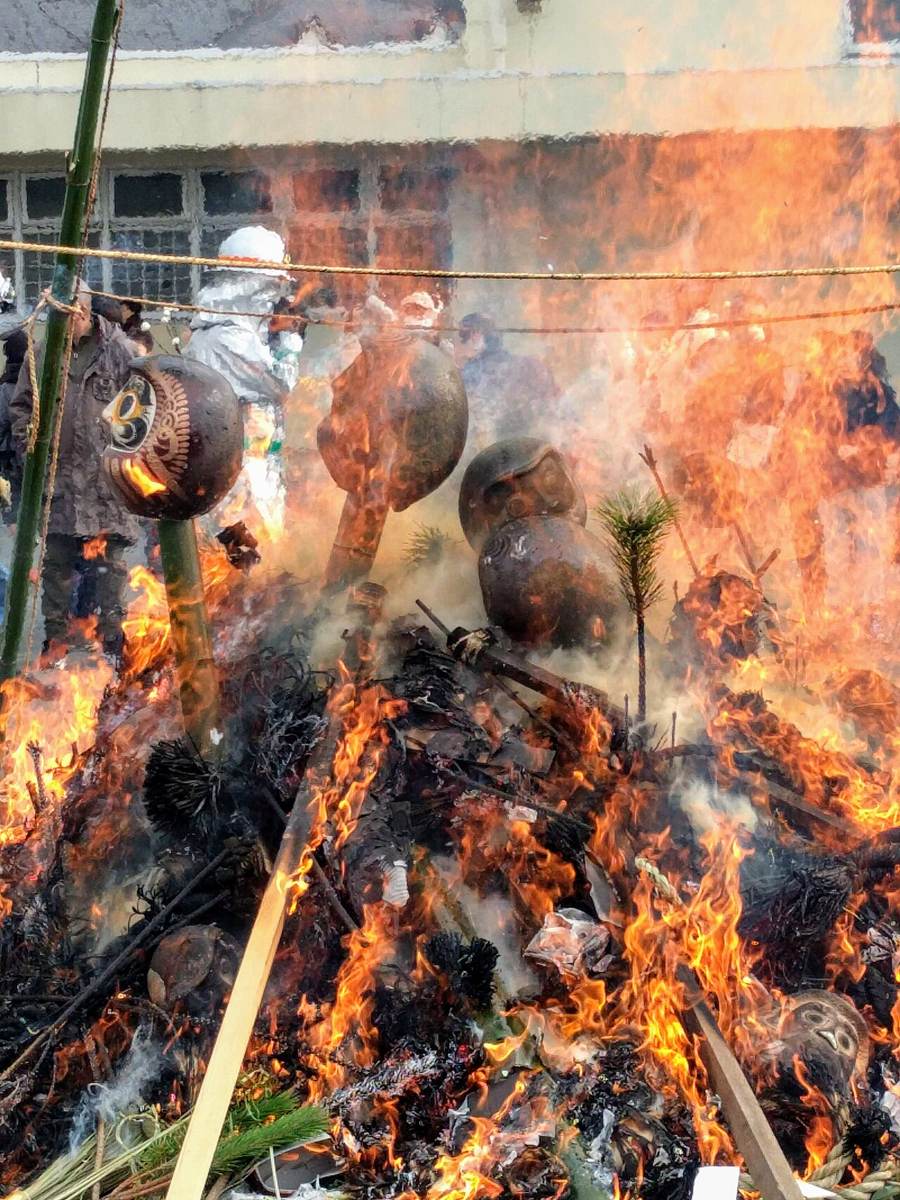 A dondo-yaki bonfire consuming daruma dolls, shimekazari rope decorations and pine branches, with more daruma skewered on bamboo poles above the flames
