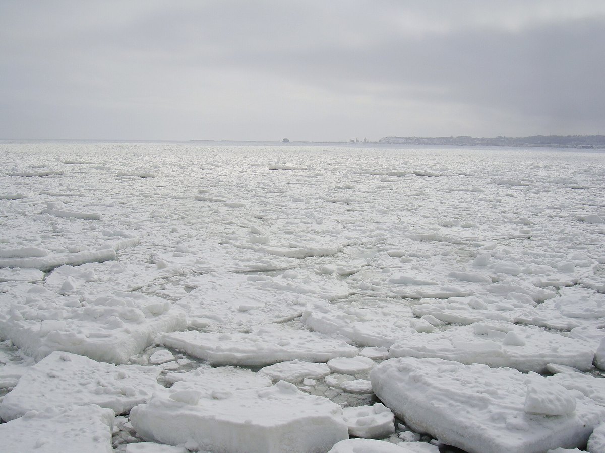 Drift ice at the Abashiri shore: white floes of all sizes packed from the foreground to the horizon with almost no open water, a low coastal bluff in the distance under an overcast sky