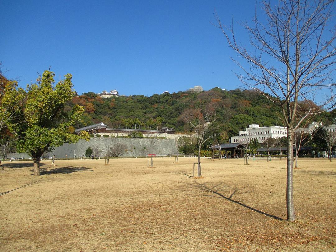 晴天下城山公園堀之內的大片草地:冬天枯黃的草坪上種著幾棵小樹,後方是一道長長的石垣與白牆,再往上是長滿樹的山,山頂露出松山城的白色天守
