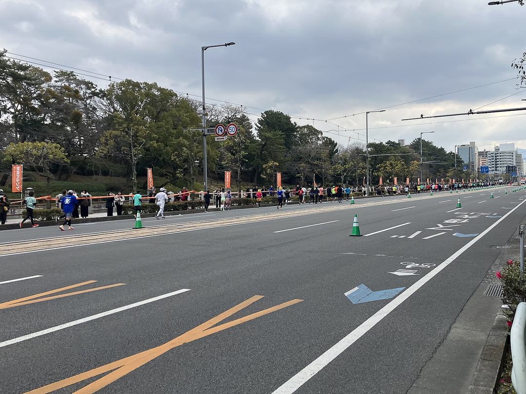 愛媛馬拉松比賽中的西堀端大路:寬闊的多線道柏油路左側封成跑道,三三兩兩的跑者沿著松樹與橘色旗旁的路邊跑,遠處是一長串跑者與市區大樓,路面擺著綠色三角錐