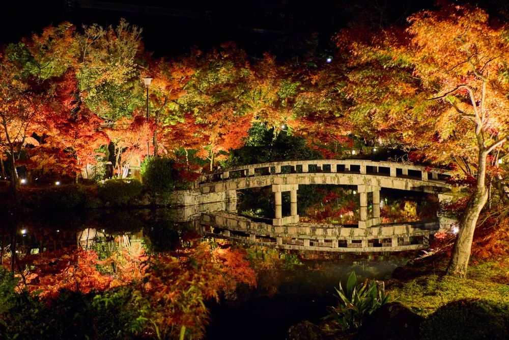 Eikando night illumination: lit red and yellow maples around the Hojo-ike pond, with a stone arch bridge reflected in the water