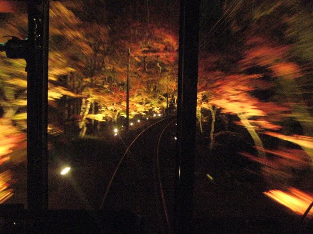 夜間從叡山電車車頭的窗戶往前看：軌道兩側打了光的紅葉與黃葉因為列車在動而拖成模糊的光影，軌道旁有一排小燈，窗框是黑色的剪影