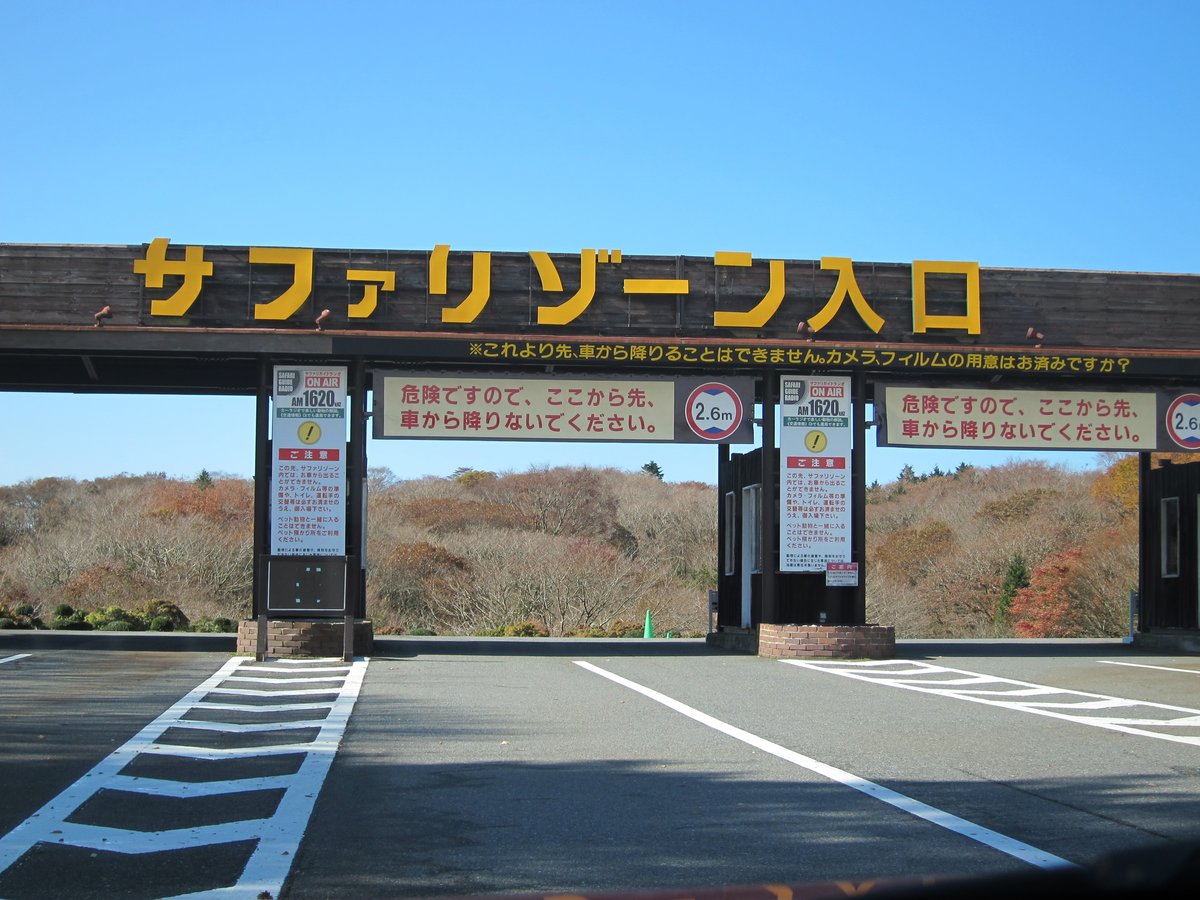 富士野生動物園「サファリゾーン入口」的木造門樓,黃色大字招牌下寫著「これより先、車から降りることはできません。カメラ、フィルムの用意はお済みですか?」,兩側白底紅字牌「危険ですので、ここから先、車から降りないでください」與限高 2.6 m 標誌,柱子上掛著サファリガイドラジオ AM1620 的告示;後方是秋天轉紅的樹林;2010 年 11 月拍攝