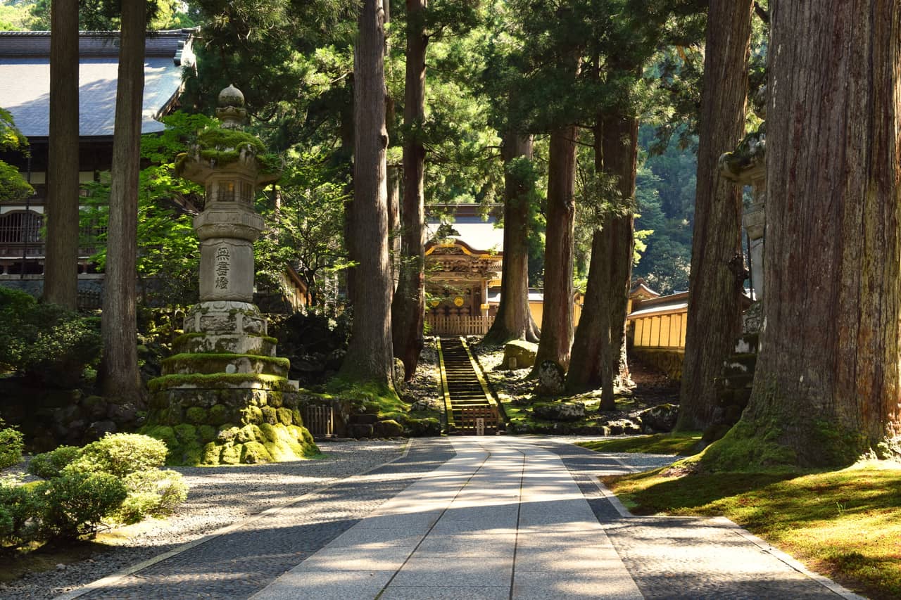 福井永平寺依山而建的伽藍與杉木參道