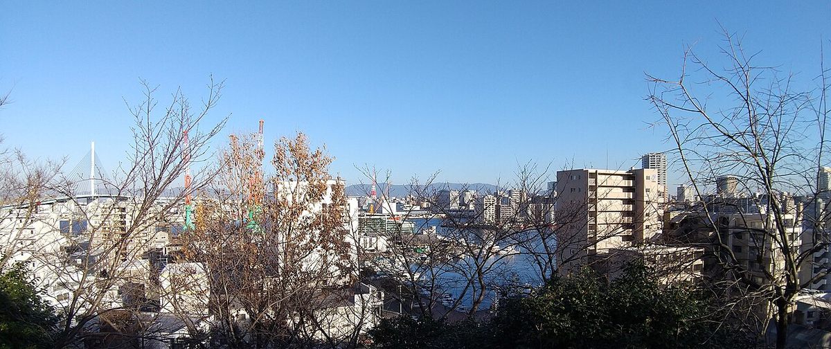 2023 年 1 月從西公園東側展望台往東看：前景是葉子掉光的樹枝，樹枝之間看得到博多漁港的水面、港邊的公寓大樓與紅白色起重機，左邊遠處有一座白色斜張橋，天空是晴朗的藍色