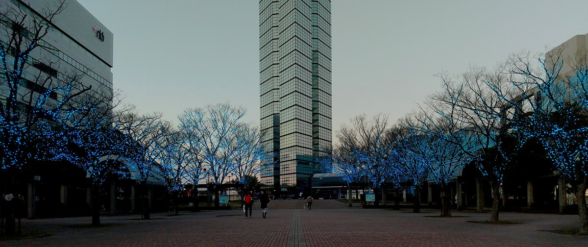 2024 年 1 月傍晚百道浜的紅磚步道：步道盡頭是整面玻璃帷幕的福岡塔塔身，兩側落葉的行道樹纏著藍色燈串，左邊是有 rkb 標誌的電視台大樓，步道上只有兩三個行人